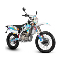 GEON Dakar 250E (4V) (Enduro) 2013