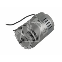 Двигун бічної електричної 24V коси для ріпаку - 710000327
