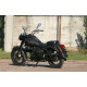 SKYBIKE RENEGADE 250