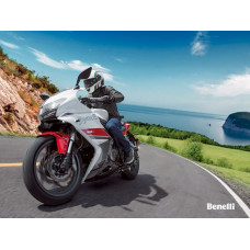 Benelli 302R