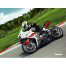 Benelli 302R