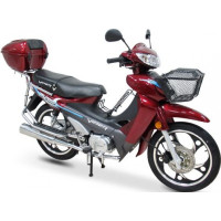 VIPER ACTIVE 110