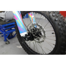 GEON Dakar 250E (4V) (Enduro) (Factory)